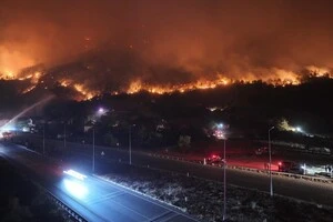 Декілька районів Туреччини охопили масштабні лісові пожежі (фото, відео)