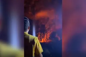 Туреччина потерпає від найсильніших пожеж в історії, є жертви