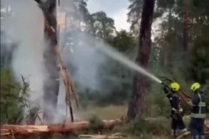 Ліквідація наслідків влучання блискавки в сосну