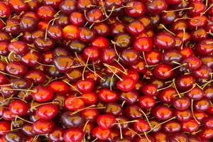 Для придбання свіжих продуктів також можна відвідати комунальні ринки