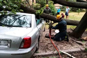 У Києві рятувальники деблокували автівки з-під повалених вітром дерев (фото)