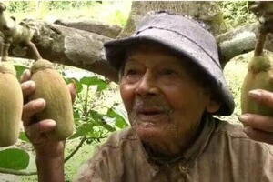 125-річний фермер із Перу розповів про один фрукт, який їсть щоранку