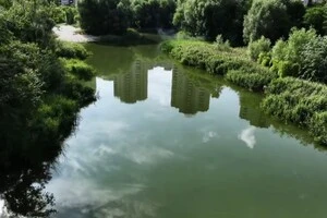 У Києві комунальники за допомогою нового методу обробили озеро Жандарка  (відео)