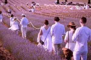 «Ми не витримуємо!»: іспанське місто закликає туристів не приїздити у вихідні 