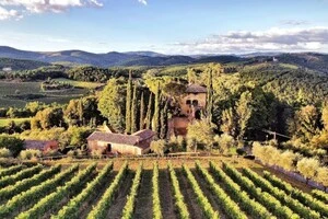 Тосканська виноробня Fattoria della Aiola була придбана у 2012 році фондом «Дар» Іллі Єлісєєва, який є колишнім однокурсником та діловим партнером Дмитра Медведєва