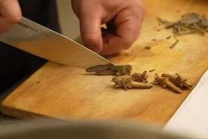 Кухарі Дніпра експериментують зі стравами з сарани