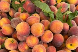 Для придбання свіжих продуктів також можна відвідати комунальні ринки