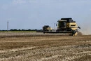 Складні жнива на Запоріжжі: хліб буде попри російські атаки