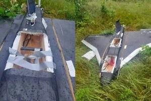 Литва запросила у генсека НАТО допомогу через російські дрони