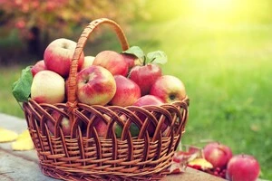 Яблучний спас 2025: як змінились ціни на фрукти до свята