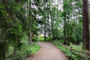 Саме на цьому повороті сталася дорожньо-транспортна пригода з постраждалими