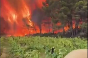 Пожежа на півдні Франції вирує вже добу 