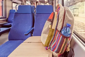 Шолом для кота, портмоне з фото Бандери: що забувають пасажири у поїздах