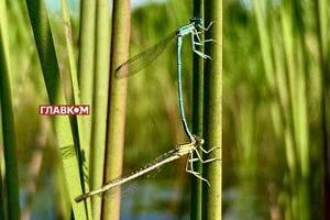 В Україні сонячно, але місцями дощитиме: погода на 7 серпня
