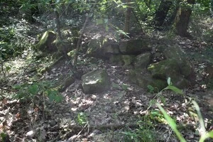 На Закарпатті археологи знайшли руїни стародавнього замку (фото)