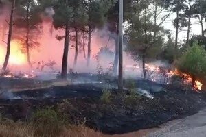 У Туреччині палає масштабна лісова пожежа. Закрито аеропорт (відео)