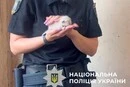 Поліція та зоопатруль провели рятувальну операцію для котів у Києві (фото)