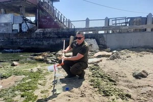 Екологи в Одесі взялись досліджувати «цвітіння» Чорного моря