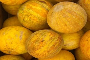 Для придбання свіжих продуктів також можна відвідати комунальні ринки