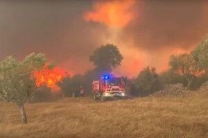 Аномальна спека цього літа є проблемою для Європи