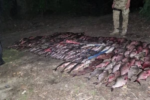 Незаконний улов, сітки, а також мотоцикл з човном були вилучені