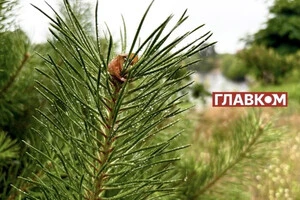 Синоптик Диденко рассказала, когда ожидать похолодания в Украине