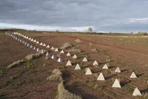 Розслідування НАЗК: збитки бюджету від корупційних схем сягнули 80 млн грн