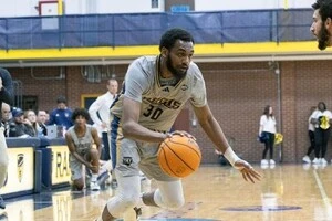 Окрім позиції важкого форварда, Ейса може зіграти й на позиції центрового