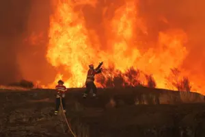 З початку 2025 року пожежі вразили майже 440 тис. гектарів у єврозоні