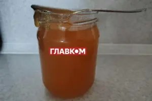 В Україні стрімко дорожчає мед: які причини збільшення ціни 