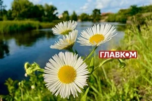 В Україні без опадів: погода на 15 серпня