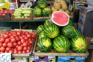 Ціна на один популярний овоч знизилась