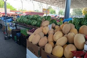В Україні ціна на дині зросла майже вдвічі: огляд із супермаркетів