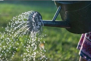 У Німеччині жінку звинувачено у крадіжці дощової води