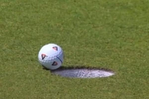 Муха допомогла англійському гольфісту влучити м'ячем у лунку (відео)