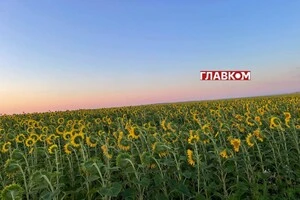 В Україні сонячно та без опадів: погода на 20 серпня