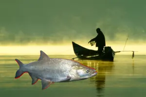 Як зловити трофейну білизну: поради для рибалок 