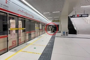 Коти можуть користуватись власним метро