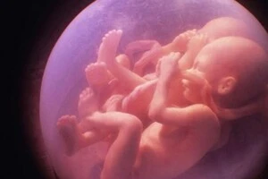 Робот-гуманоїд зможе виношувати дитину замість жінки