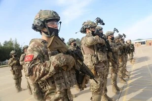 Туреччина повідомила, чи відправлятиме миротворців до України