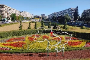 До Дня Незалежності столицю прикрасили тематичні квіткові композиції (фото)