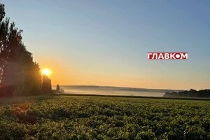 В Україні дощитиме: погода на 24 серпня