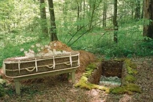 Тренд на «зелені» поховання змінює похоронну індустрію США