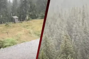 В Україні на День Незалежності випав сніг (відео)