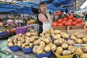 Картопля стане доступнішою: скільки коштує зараз і коли чекати падіння ціни