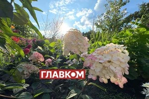 Якою буде погода в останні дні літа. Прогноз синоптикині Діденко