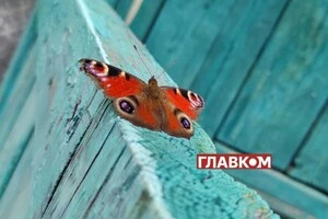 В Україні без опадів: прогноз погоди на 27 серпня