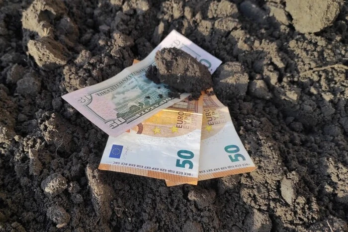 Дослідне господарство «Дніпро», викрите у розкраданні понад 500 га держземель, запустило процедуру банкрутства