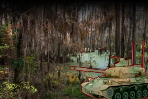 ЄС планує відновити болота для захисту від Росії