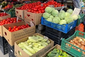 Чернявський запевнив, що ніякого голоду бути не може